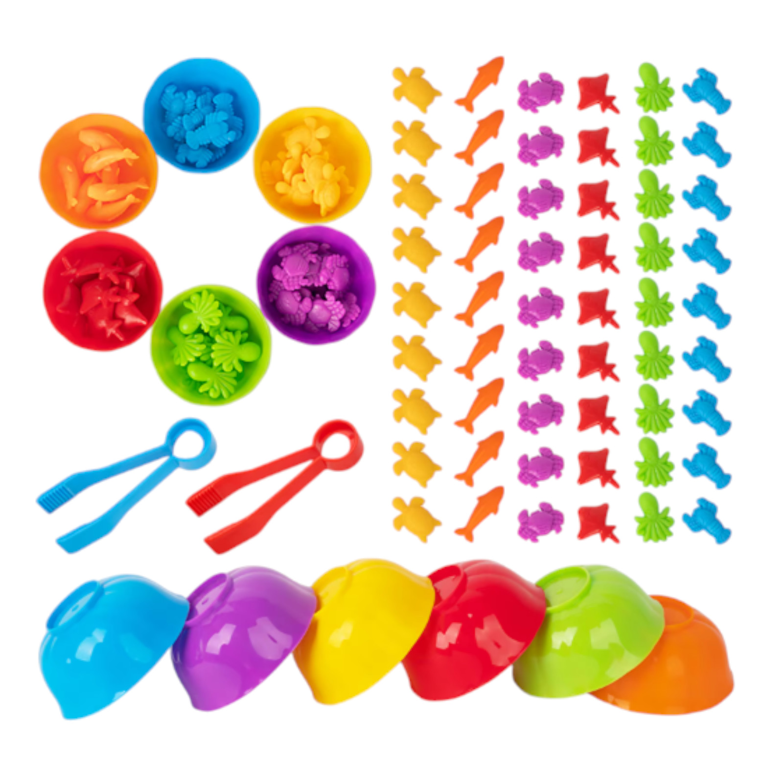 Animal Sorting Toy Color Matching Math Learning Set for Kids fruit
