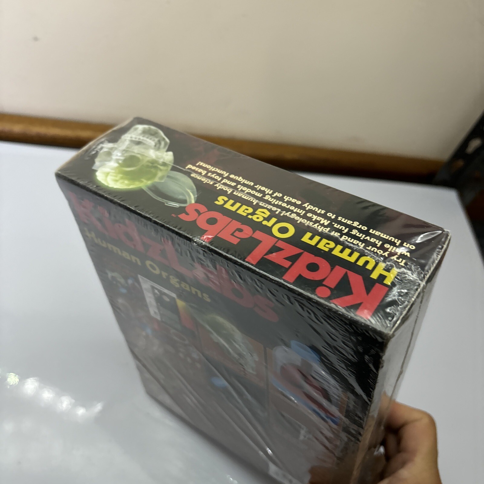 KidzLabs – Human Organs Models *New Sealed*