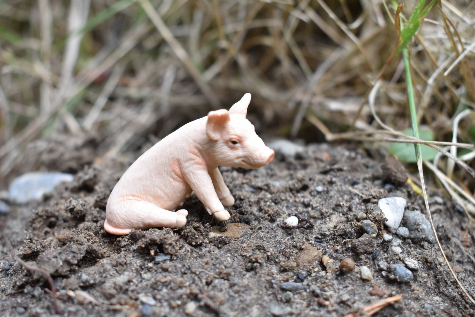 Piglet Sitting ~ Plastic Replica 2″ ~ F8005-B114