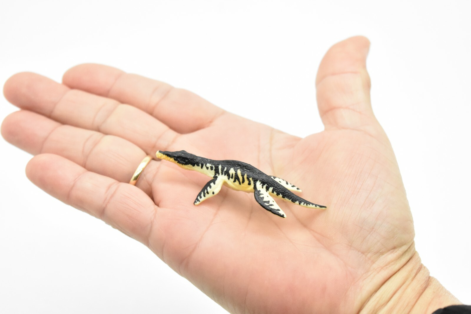 Liopleurodon Dinosaur, Very Nice Plastic Replica 2 1/2″ F8104-B117