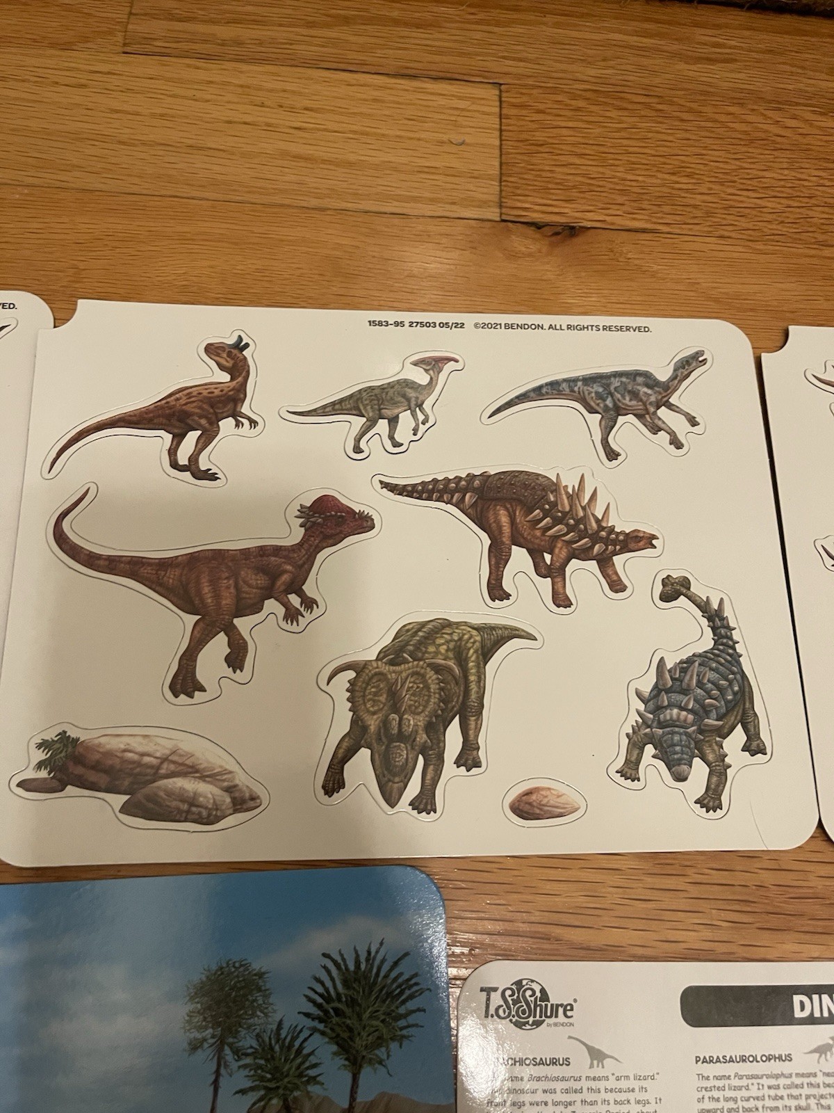 T.S Shure Magnetic Tins Dinosaurs New 25 Illustrated Magnets