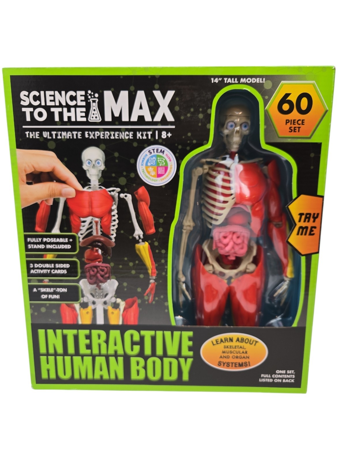 3D Human Body Puzzle Model STEM Toy by Be Amazing! Toys is an educational design