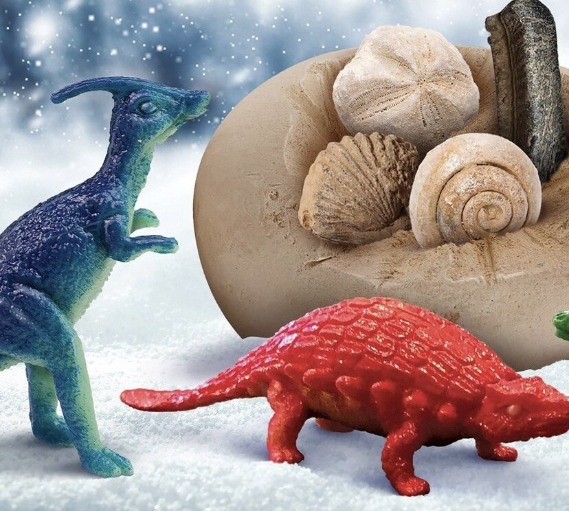 New National Geographic Dinosaur Advent Calendar Include 24 Dinosaurs Fossil Dig