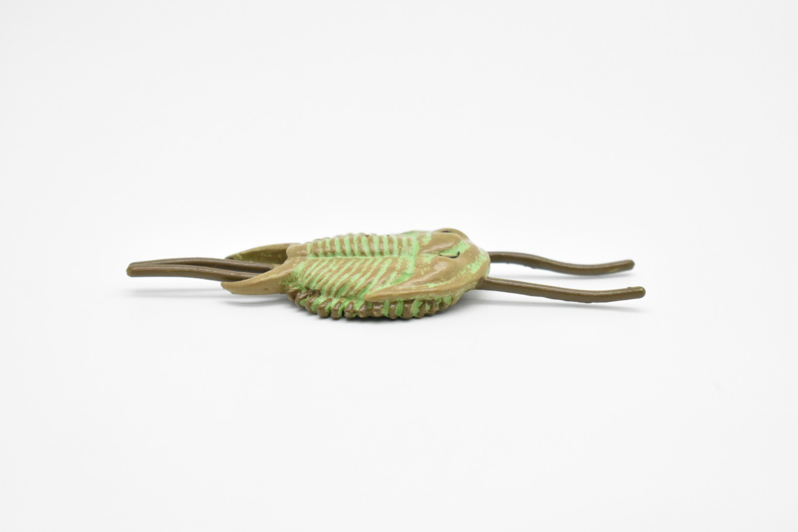 Tricrepicephalus, Trilobites, Fossil Toy Cambrian Sea Animal, Realistic Model