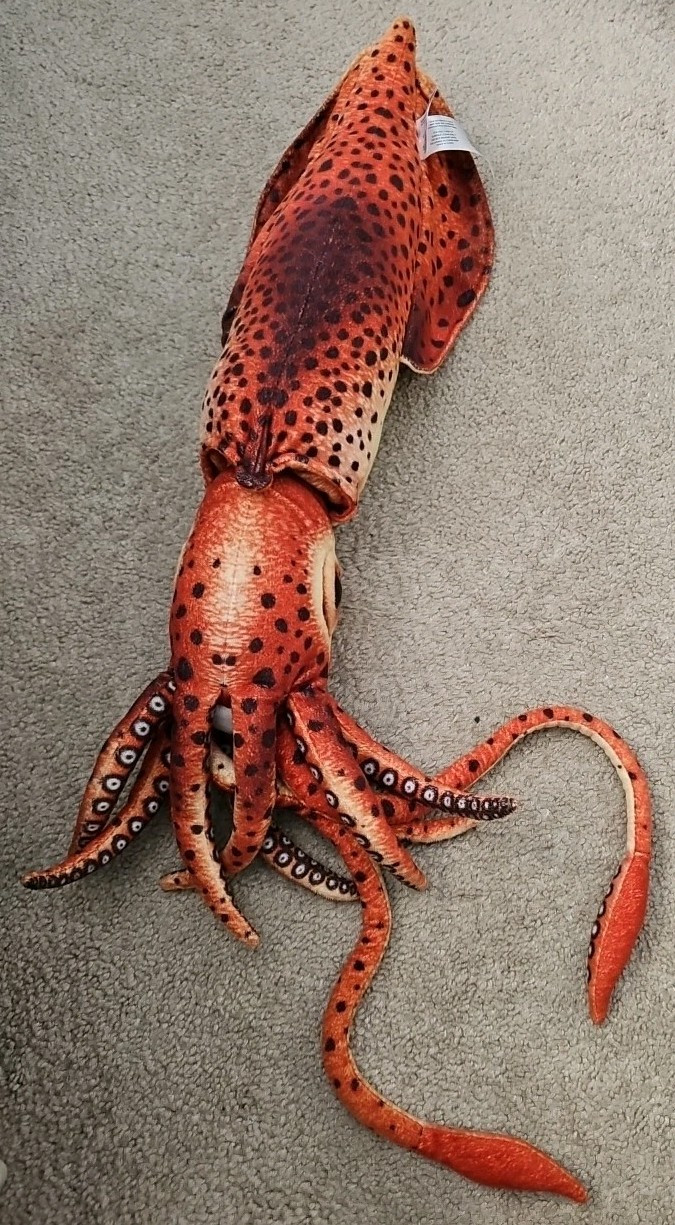 Giant Squid Realistic Cute Stuffed Animal Plush Toy Kids Gift 24″ Fiesta
