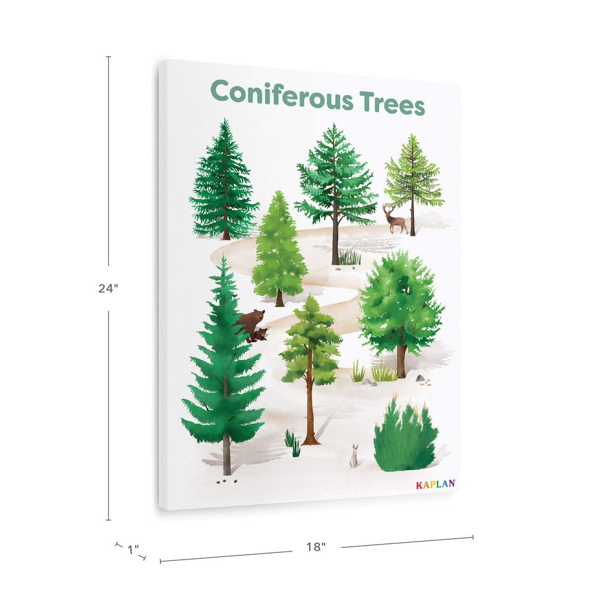 Kaplan Early Learning Coniferous Tree Giclee Classroom Wall Print