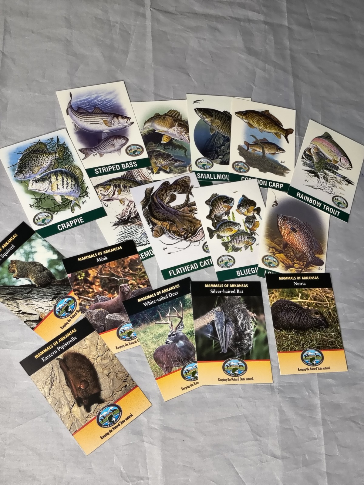 Random Lot Of 26 Cards Of Arkansas Game And Fish Mammal And Fish Informational