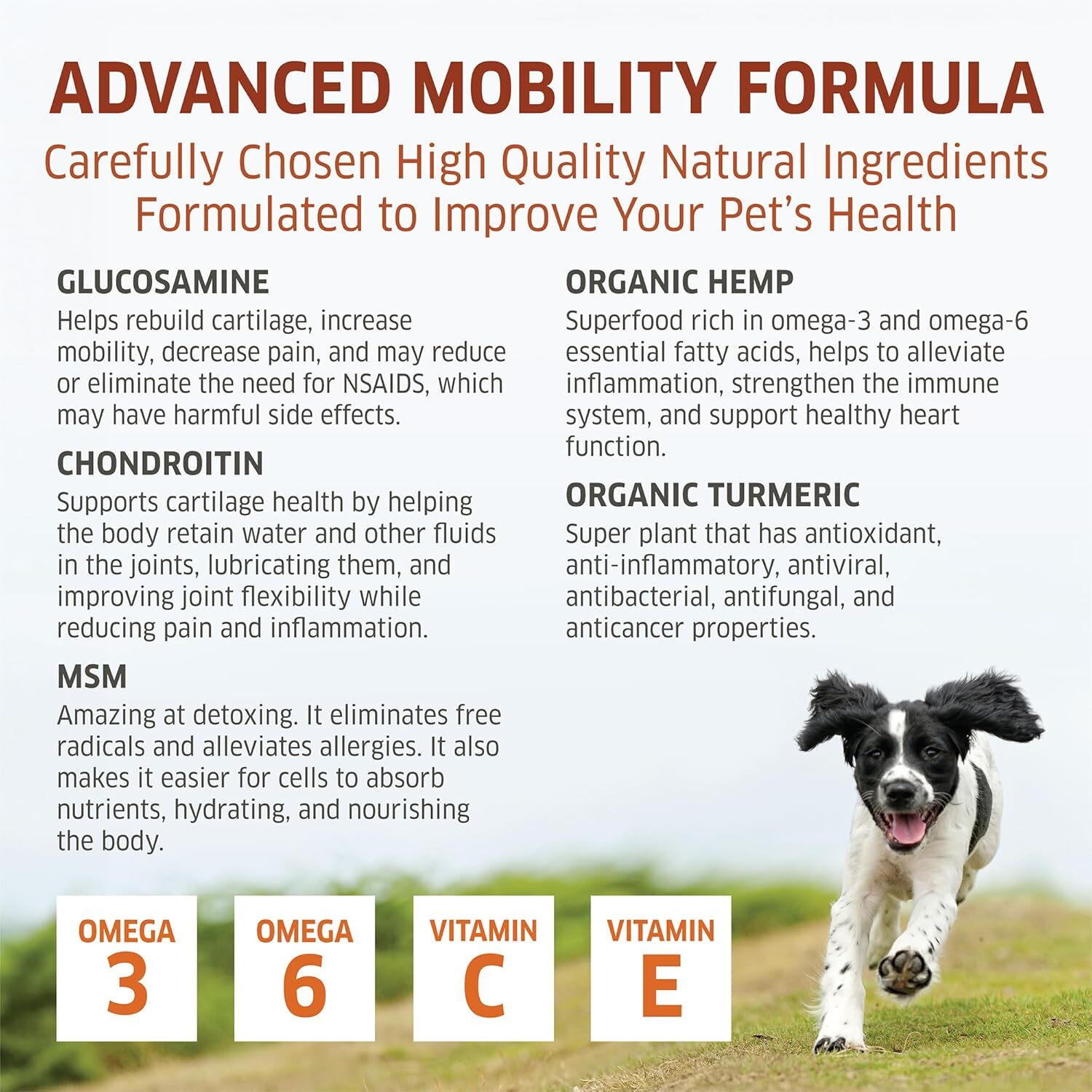 Hemp Hip and Joint Supplement for Dogs – Glucosamine for Dogs – Glucosamine