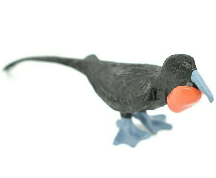 Frigatebird, Galapagos Islands Plastic Plastic Replica 3 1/2″ – F1526 B150