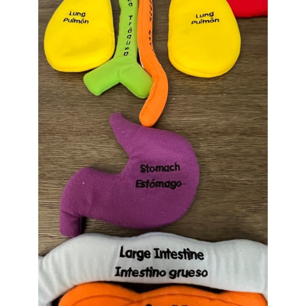 Excellerations Organ Replacement Parts for Learning Apron