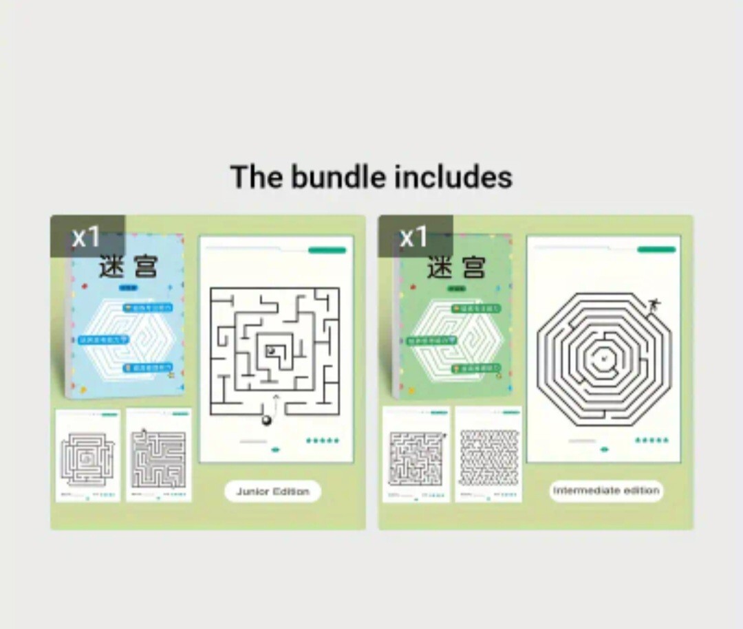 192 Patterns Concentration Maze Training Book, Student Thinking Development…