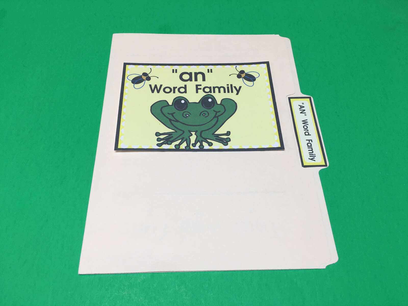 The An Family – Phonics – DIY File Folder game – Printed / Uncut