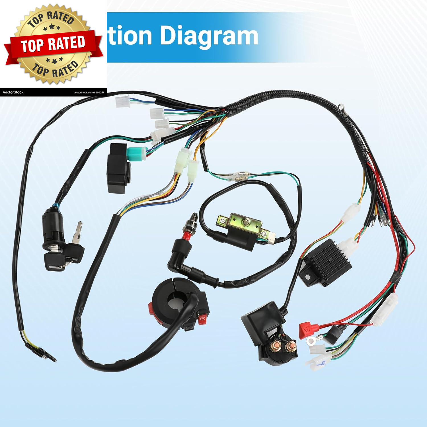 Electric Wiring Harness Kit Compatible with Taotao Coolster 110Cc 125Cc Chinese