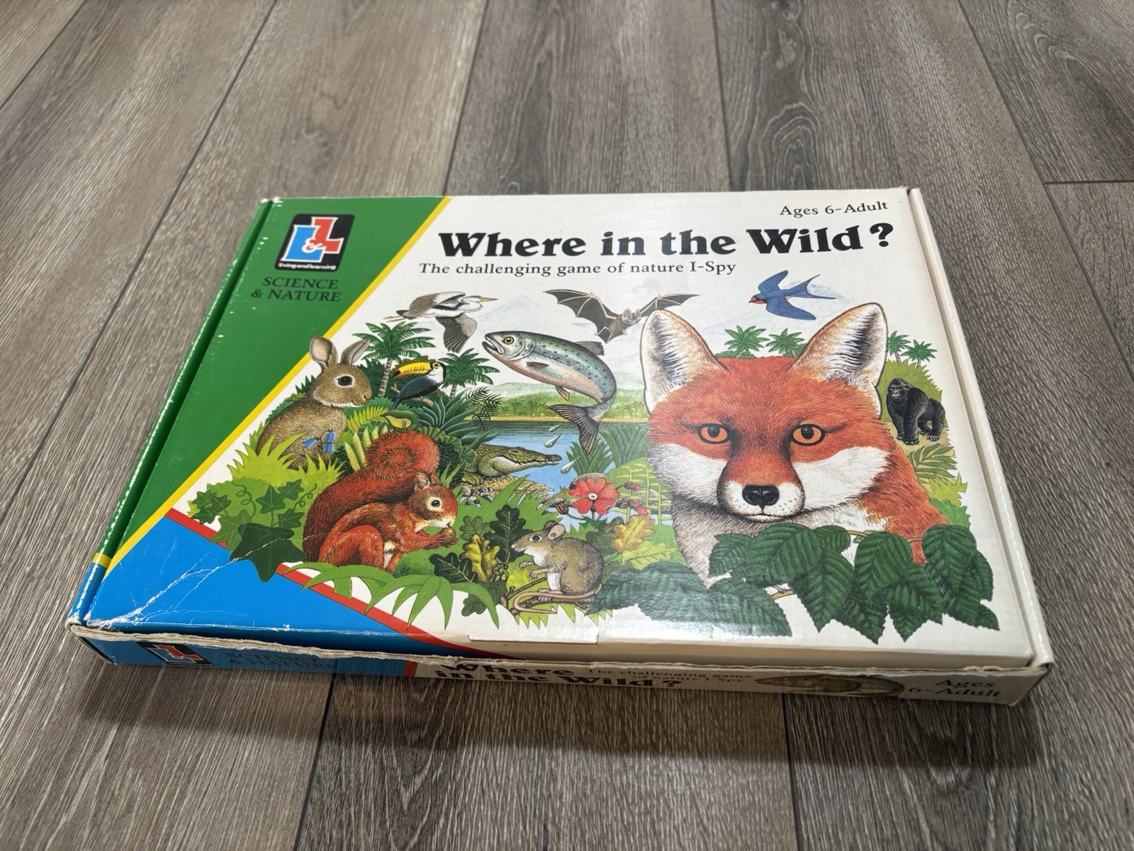 Living And Learning Where in the Wild I Spy Game Homeschooling Game
