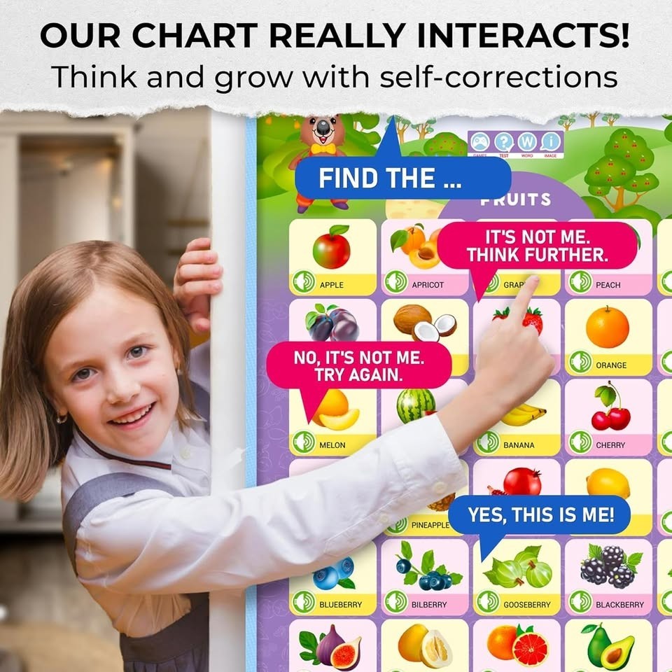 QUOKKA Interactive Learning Posters 4 In 1 Set Homeschooling Preschool School