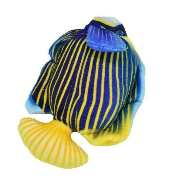 Angel Fish, Pterophyllum, Ciclids, Tropical Fish Magnet 5 1/2″ CWG30BB3