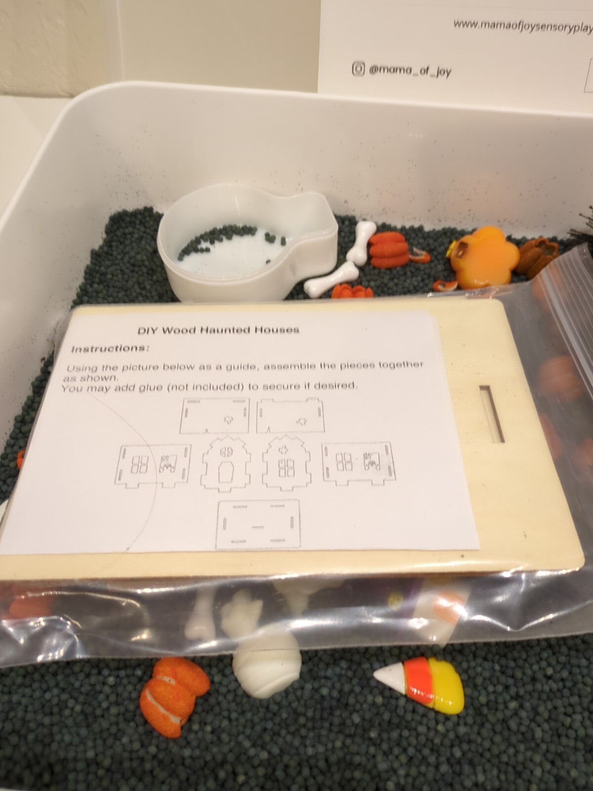 Mama Of Joy Sensory Play Halloween Set