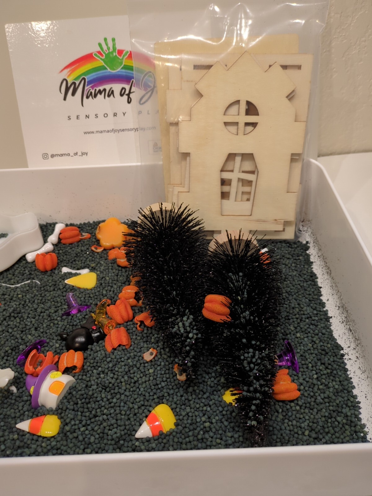 Mama Of Joy Sensory Play Halloween Set