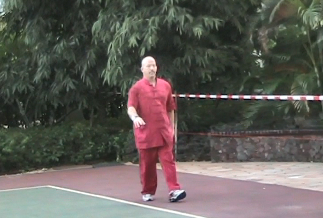 Matt Furey DAO ZOU | Kung fu | Exercise | Martial Arts | Anti-Aging | Qigong