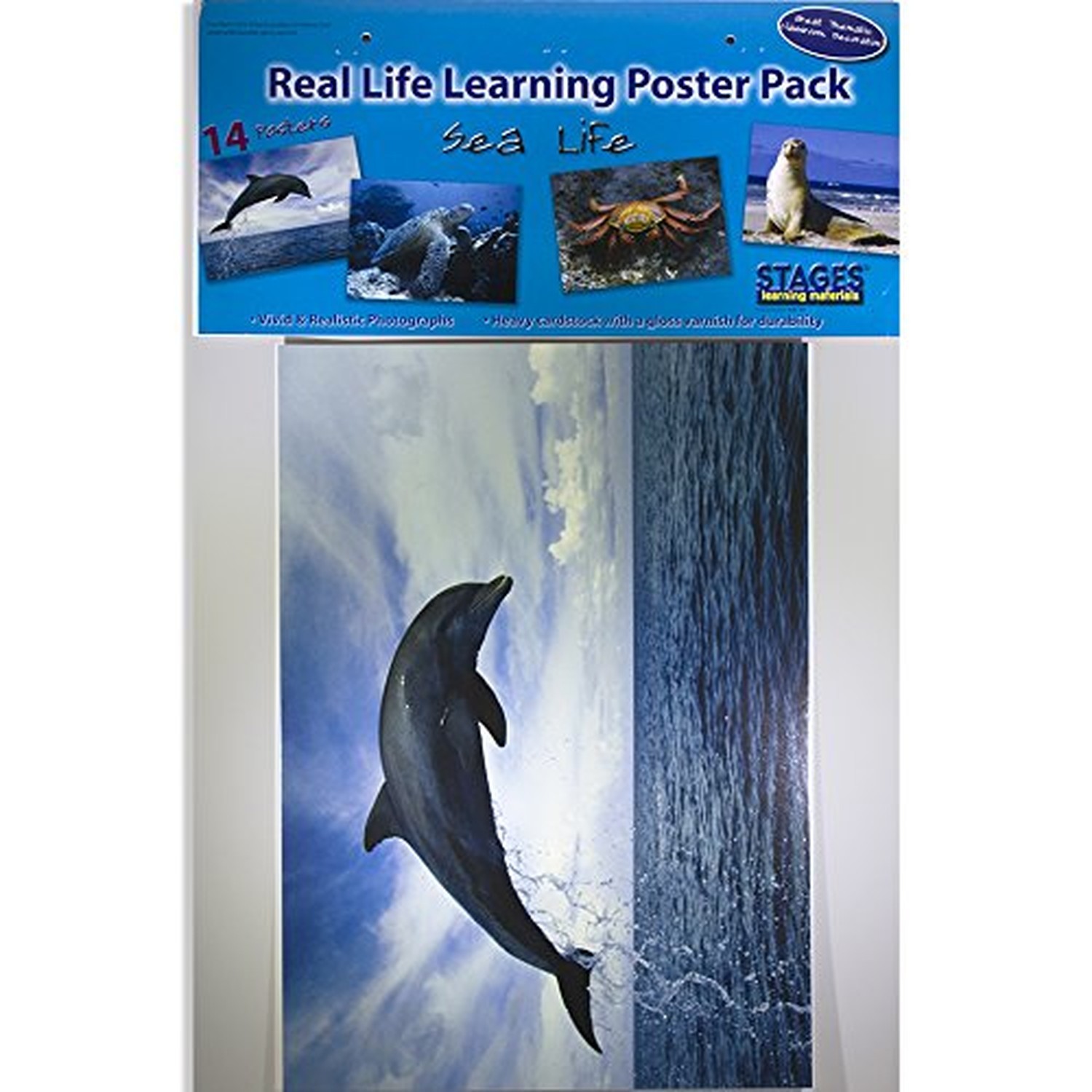 Stages Learning Sea Life Posters, 14 Real Photo Images, Multicolor