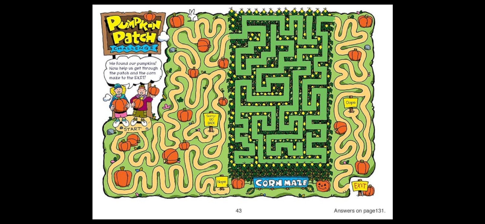 Active Minds Amazing Activity Book