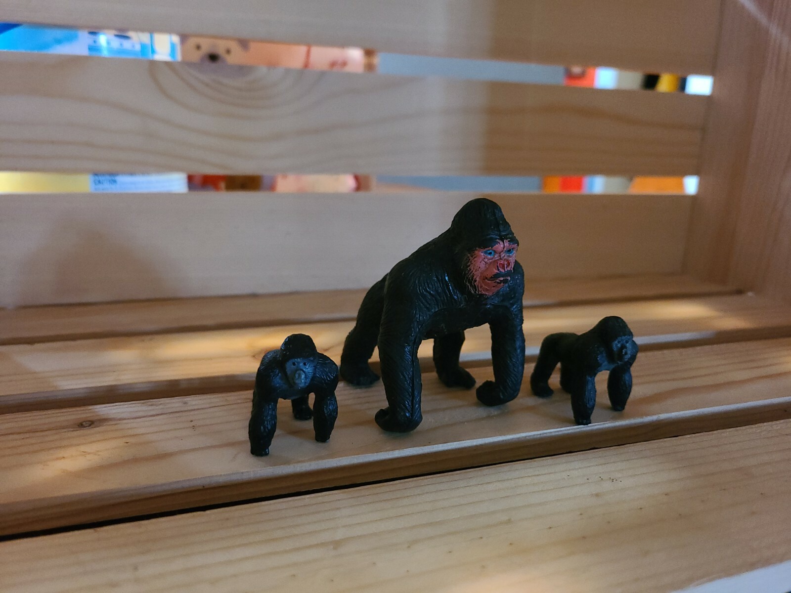Gorillas Bundle