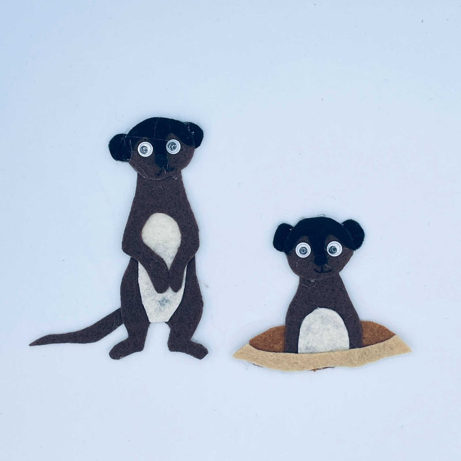 Desert Life Felt Story Set – Desert Habitat Animals