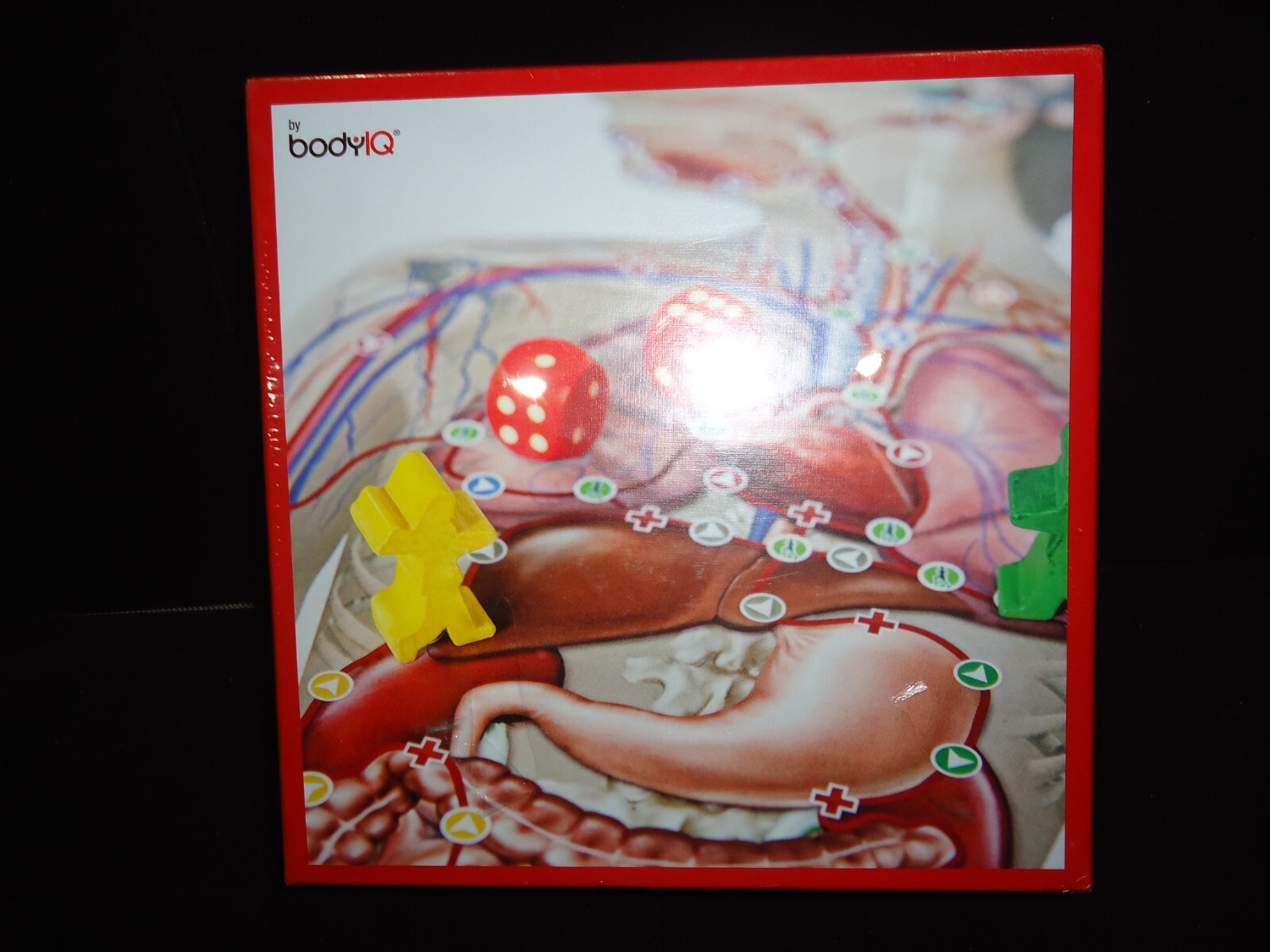BODYIQ BODY EDUCATIONAL BOARD GAME HEALTH GAME