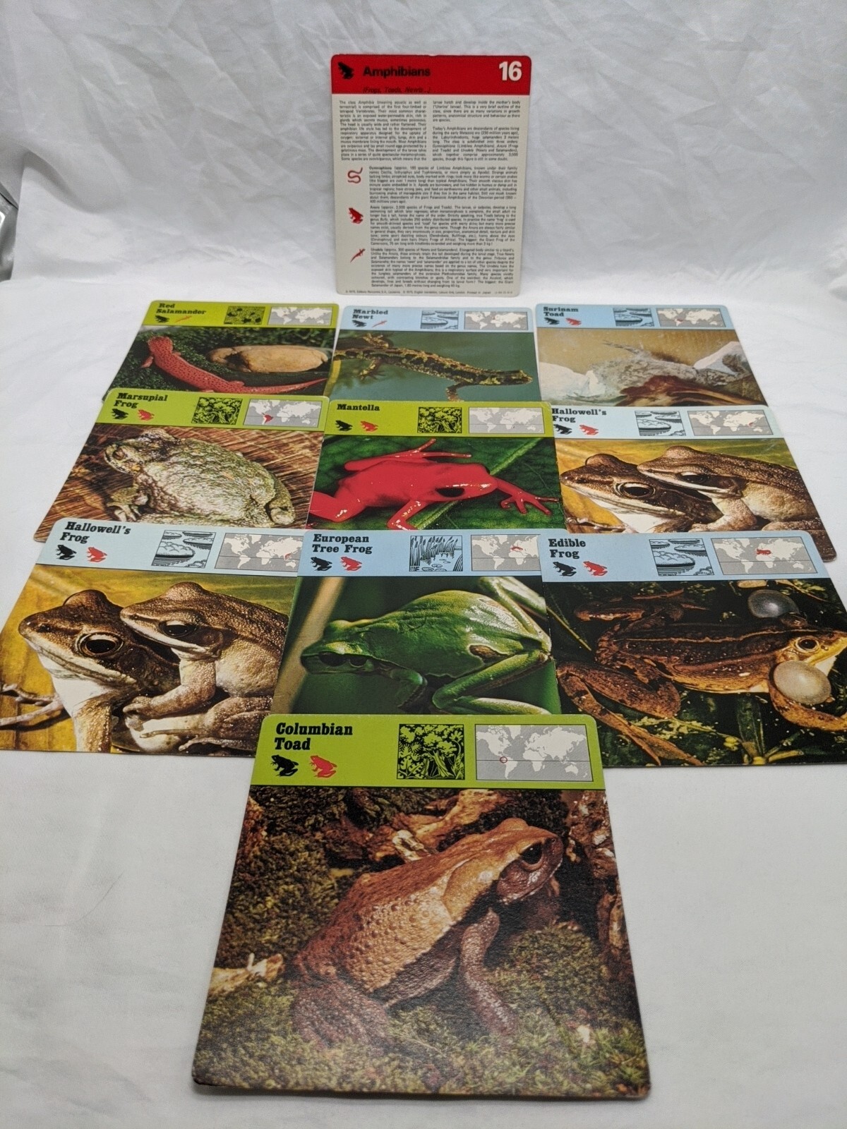 Lot Of (10) 1975 Rencontre Amphibians Education Cards