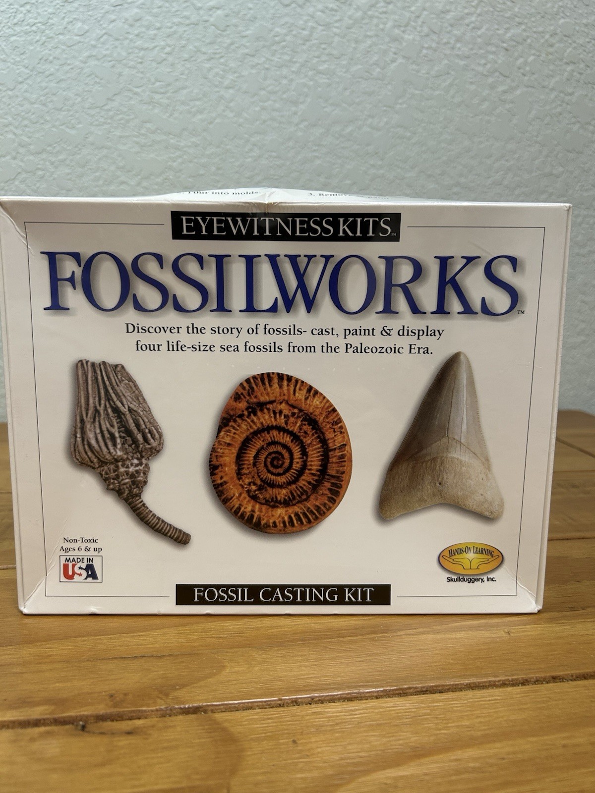 Skullduggery Eyewitness Kits Perfect Cast Fossilworks Cast, Paint, Display NEW