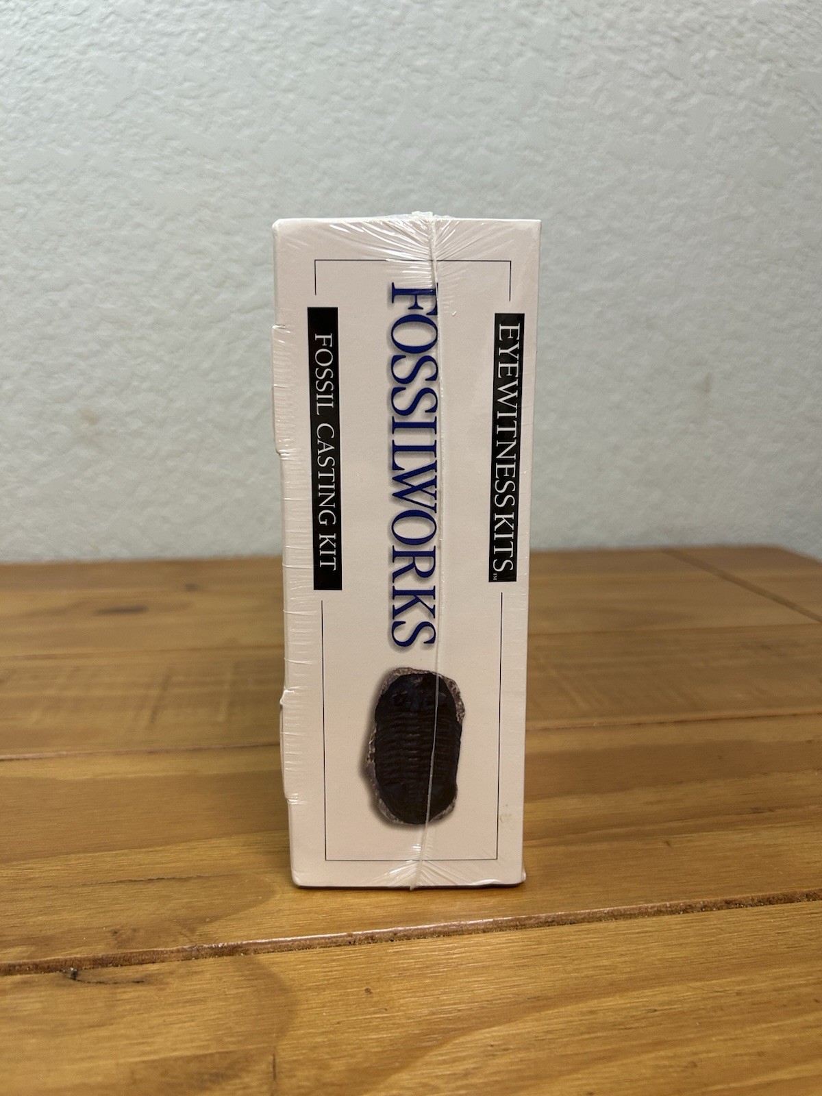 Skullduggery Eyewitness Kits Perfect Cast Fossilworks Cast, Paint, Display NEW