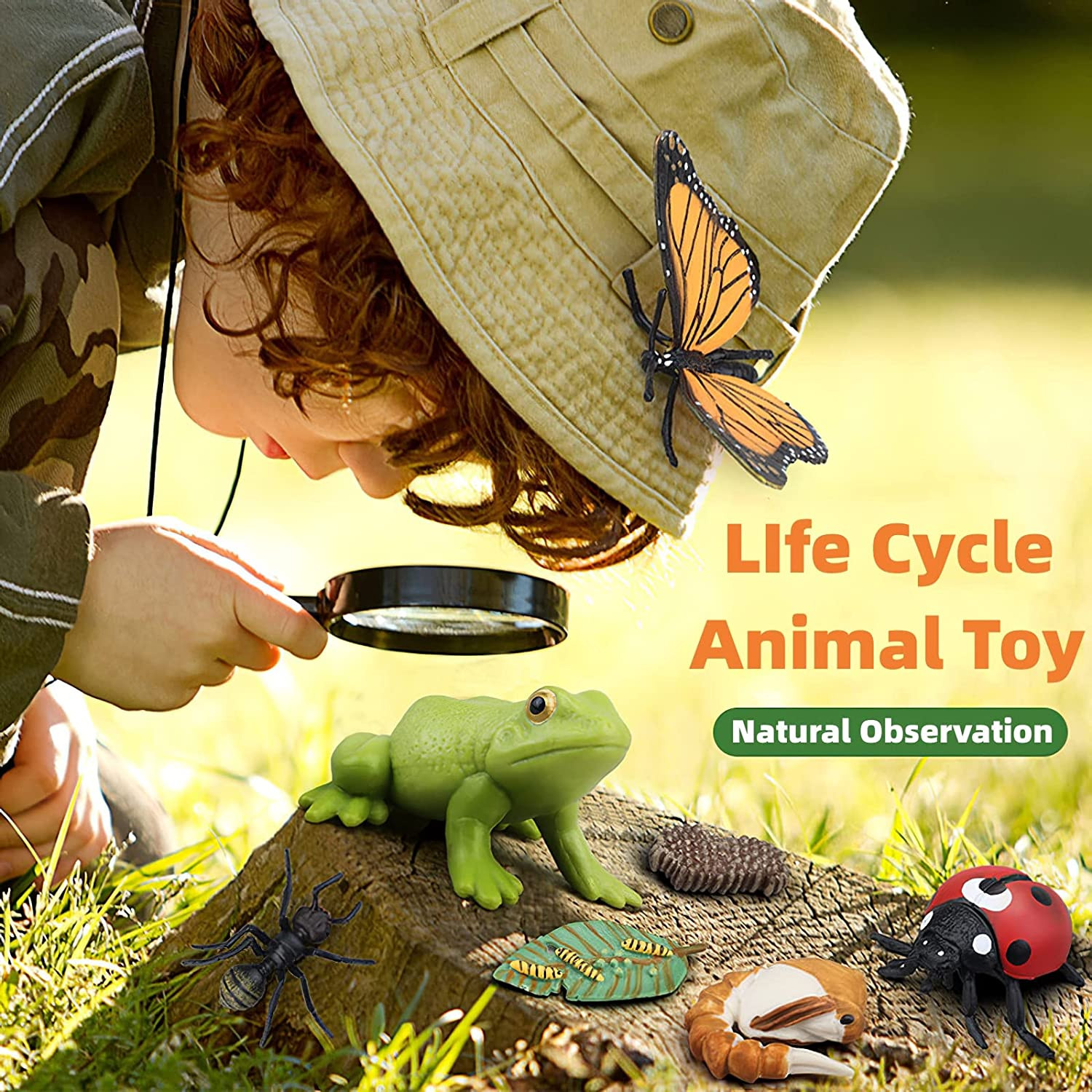 Montessori Chicken Life Cycle with Flash Cards, Realistic Animal Figurines Toy,