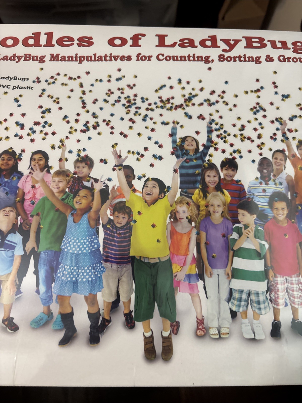 Essential Learning Products Oodles Of Ladybugs 300 Pieces (New In Plastic)
