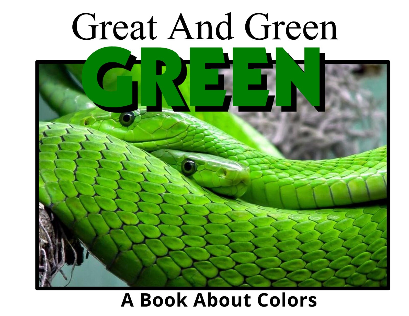 Colors Series – 6 Book Set | LEARNING COLORS | Spiral Bound Picture Book SET 1