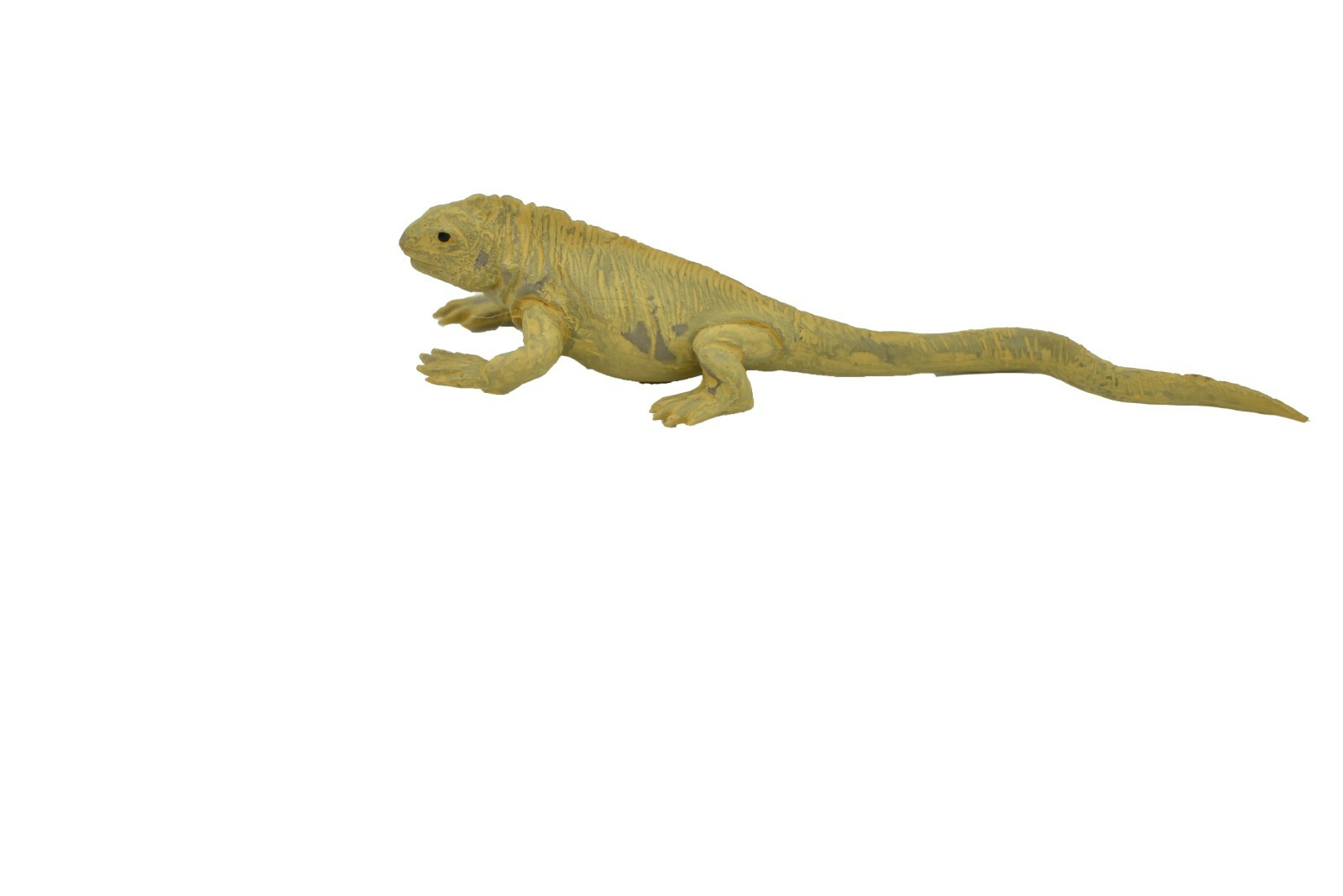 Iguana, Land Galapagos Islands Plastic Replica 4-inch plastic – F1525 B150