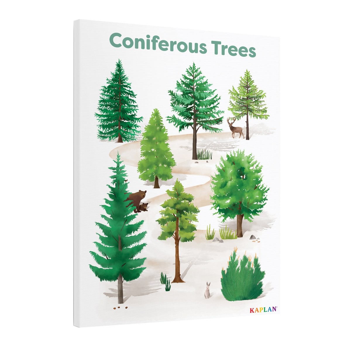Kaplan Early Learning Coniferous Tree Giclee Classroom Wall Print