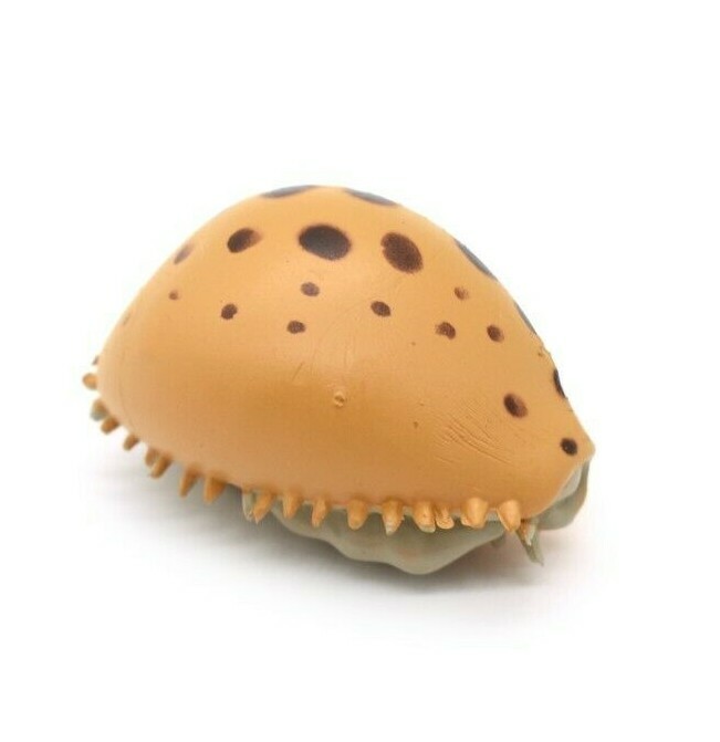 Plastic Cowrie Cowry Shell 1 1/2 inches long – F1791 B145