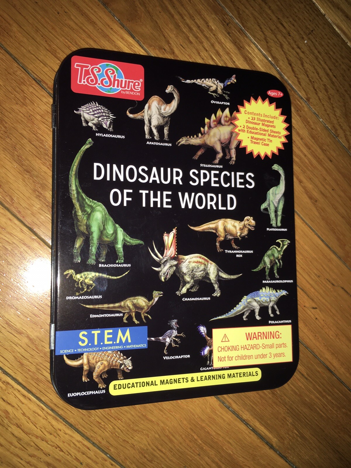 Dinosaur Species Of The World T.S.Shure Bendon Educational Magnets/ Learn STEM