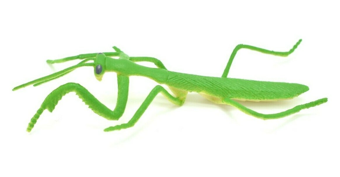 Praying Mantis, Rubber Insect, Toy, Realistic Figure, Model, Kids Gift 4″ F1053