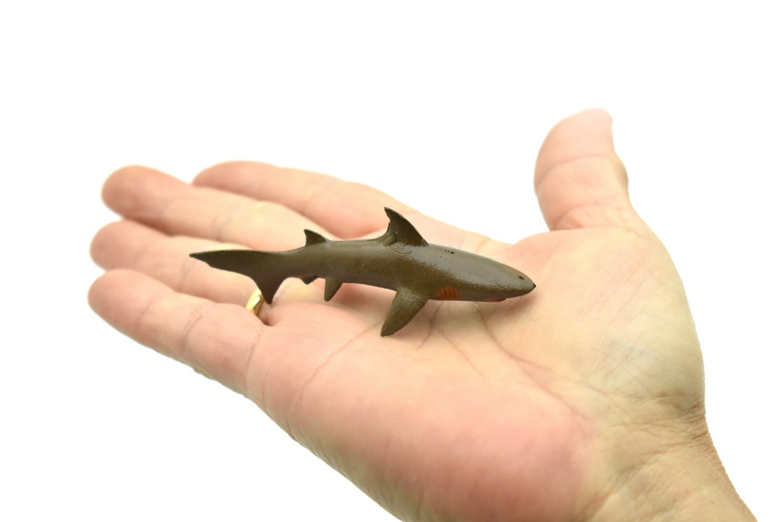 Gray Reef Shark, Very Nice Plastic Replica 3″ – F597 B34