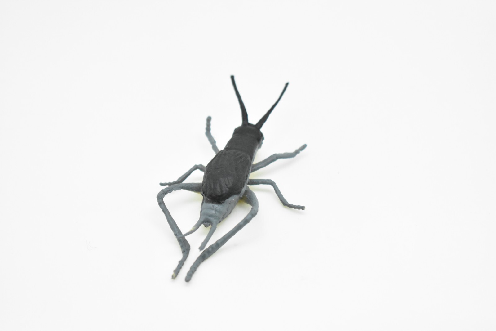 Cricket, Rubber Toy Animal, Realistic Figure, Model, Replica, Kids Gift 3″ F1058