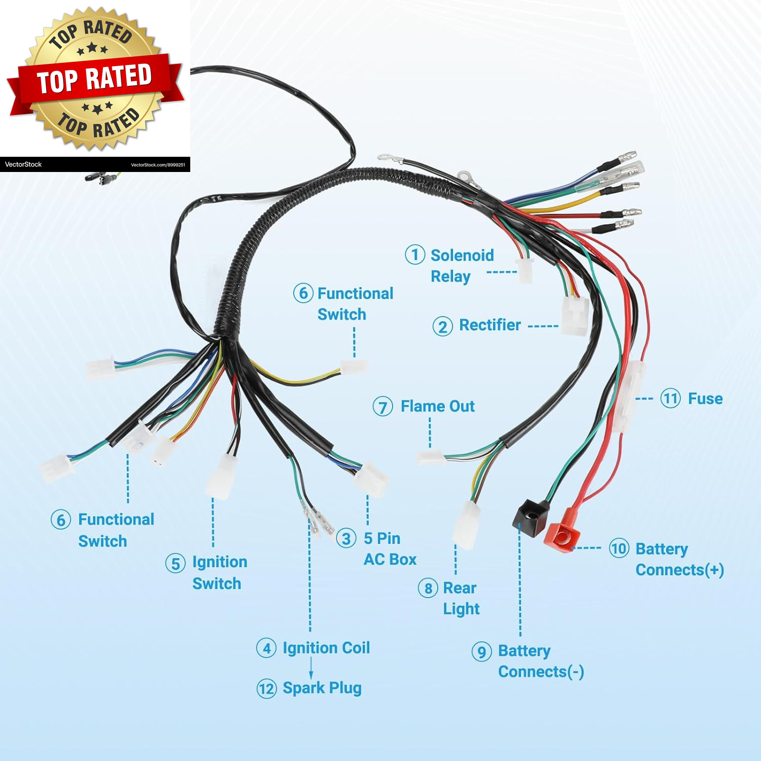 Electric Wiring Harness Kit Compatible with Taotao Coolster 110Cc 125Cc Chinese