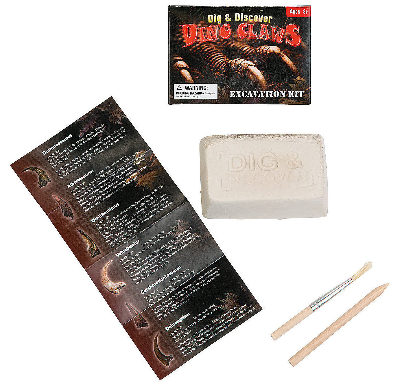 Dig Discover Dino-Mite Dinosaur Fossils Educational Gift 18 items Teacher Summer