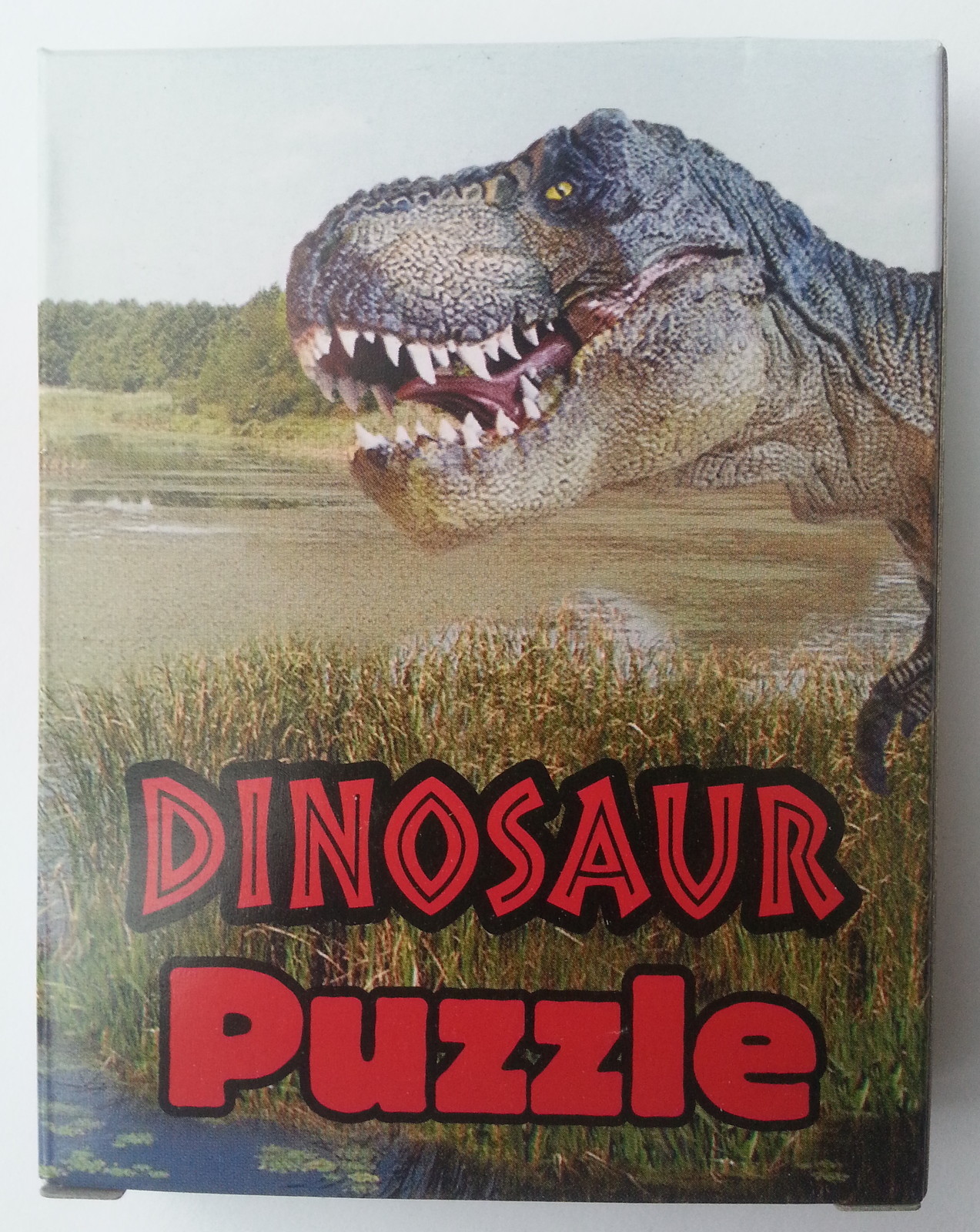 Dig Discover Dino-Mite Dinosaur Fossils Educational Gift 18 items Teacher Summer