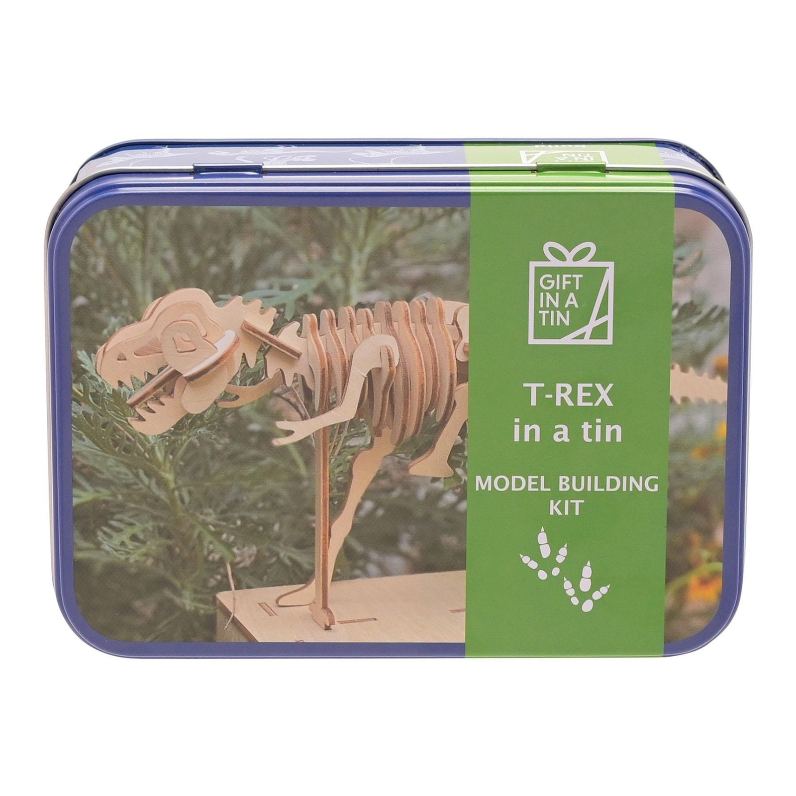Gift in A Tin Craft / Activity Set Age 6 T-Rex