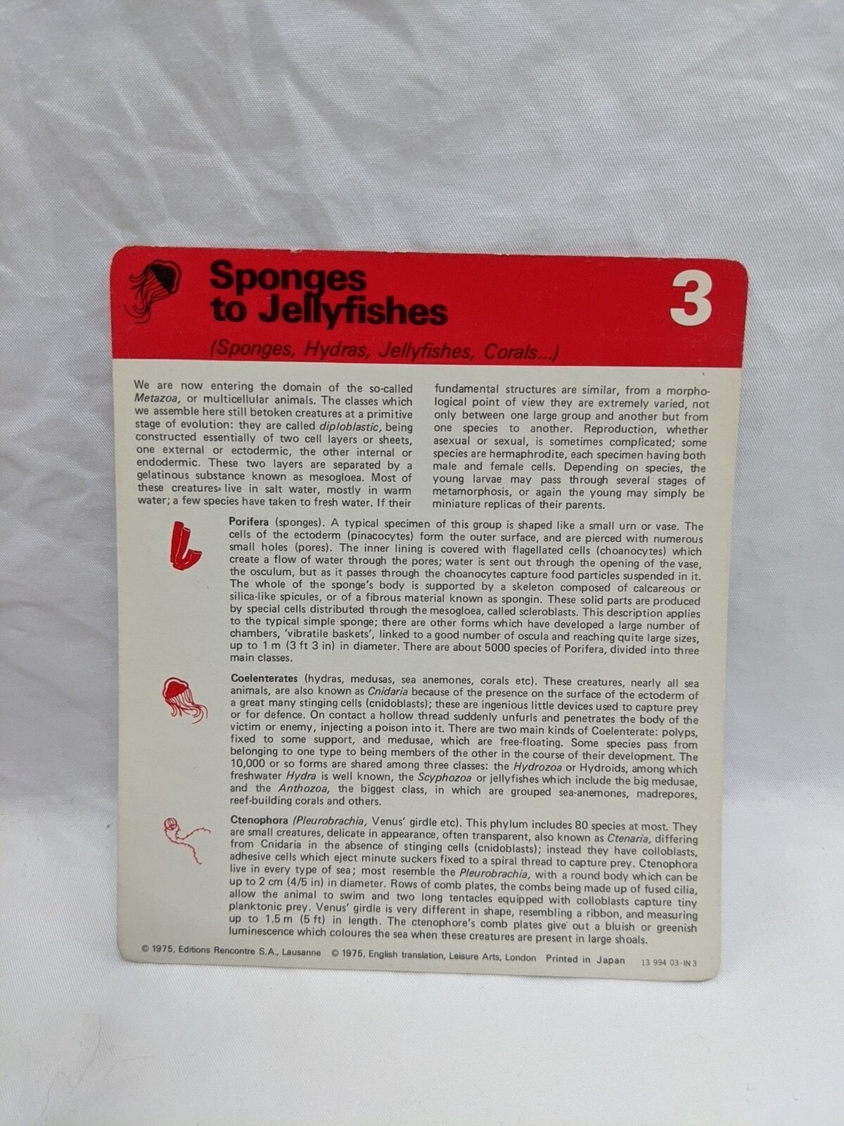 Lot Of (4) 1975 Rencontre Sponges And Jellyfishes Education Cards
