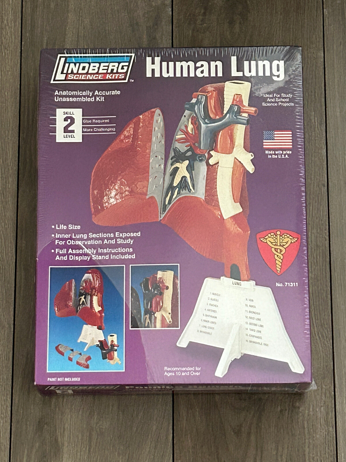 NEW Lindbergh Science Kit Human Body Lung Life Size Anatomically Correct Model