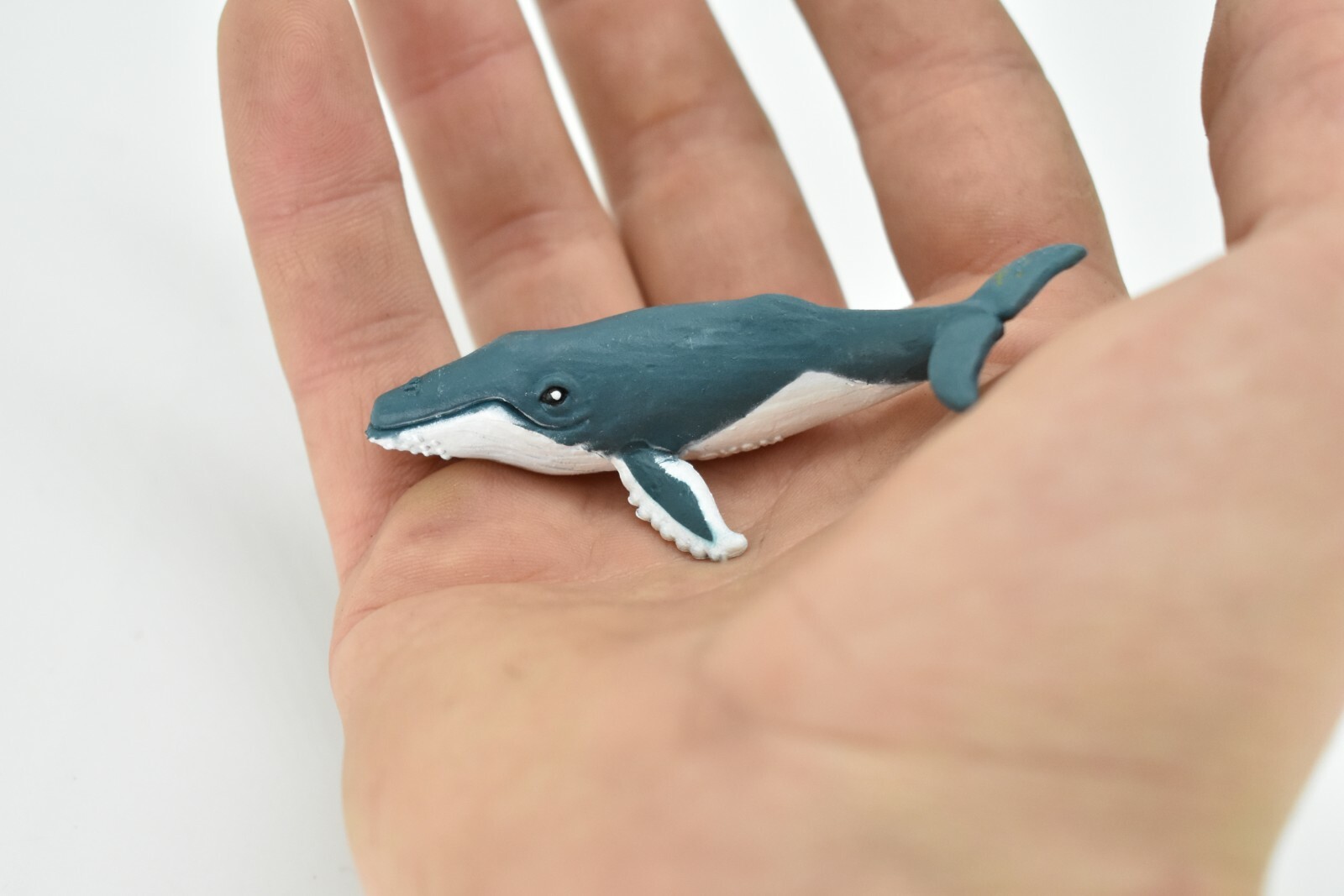 Humpback Whale Plastic Replica 3Long ~ F3906-B9