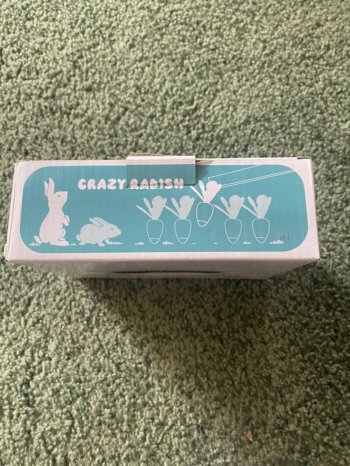 Crazy Radish Educational Exercise Flexibility Of Hands Play Set.