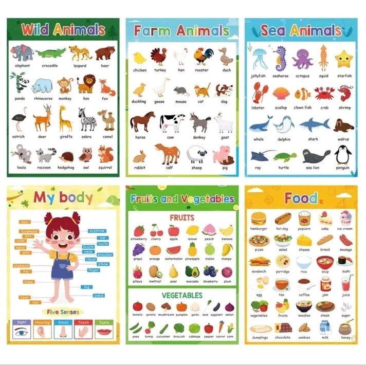 Learn English Posters Educational 8×11 Set/6 Body Animals Foods Fruit Vegetables